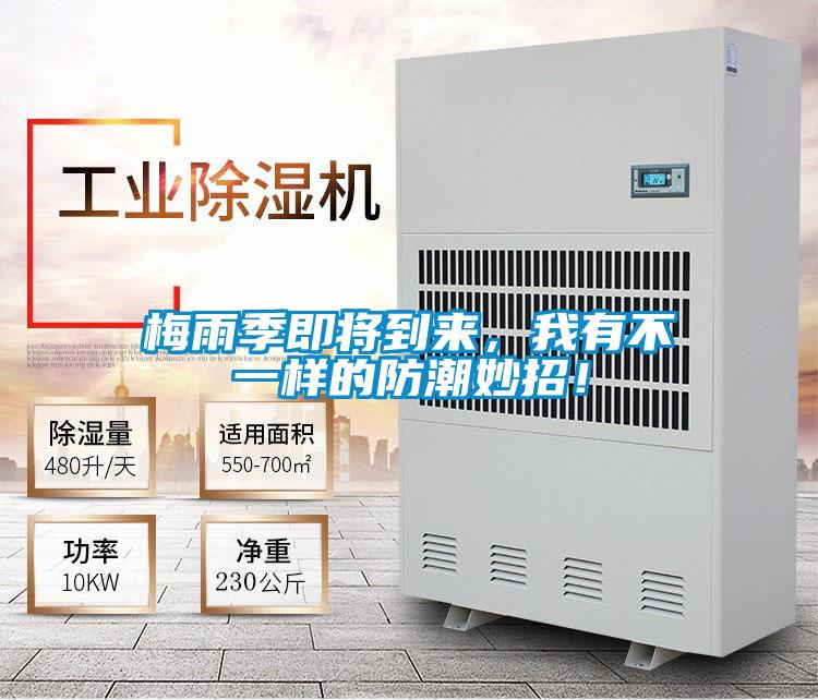 梅雨季即將到來(lái)，我有不一樣的防潮妙招！