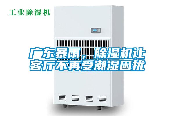 廣東暴雨，除濕機(jī)讓客廳不再受潮濕困擾