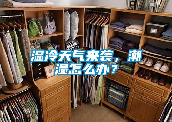 濕冷天氣來襲，潮濕怎么辦？