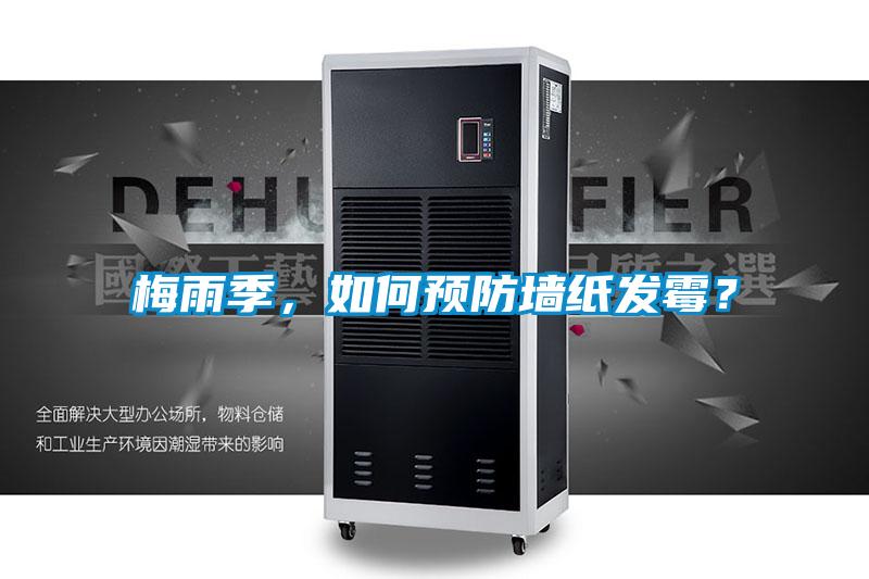 梅雨季，如何預(yù)防墻紙發(fā)霉？