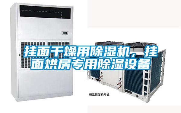 掛面干燥用除濕機(jī)，掛面烘房專用除濕設(shè)備
