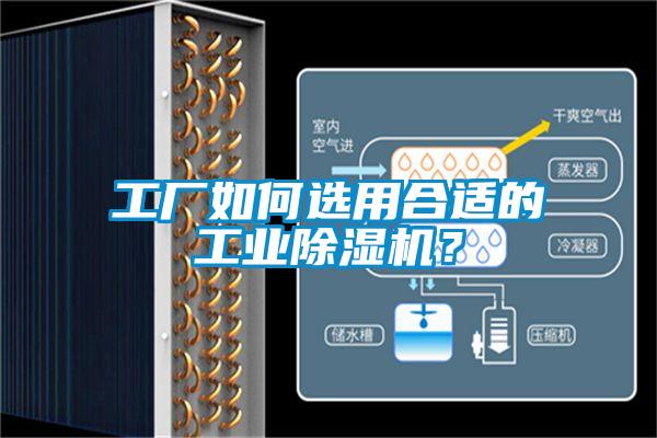 工廠如何選用合適的工業(yè)除濕機(jī)？