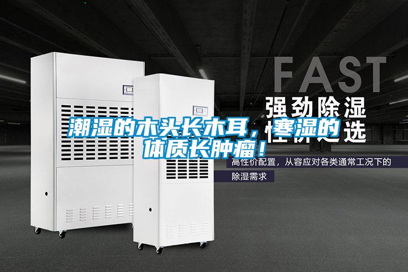 潮濕的木頭長木耳，寒濕的體質(zhì)長腫瘤！