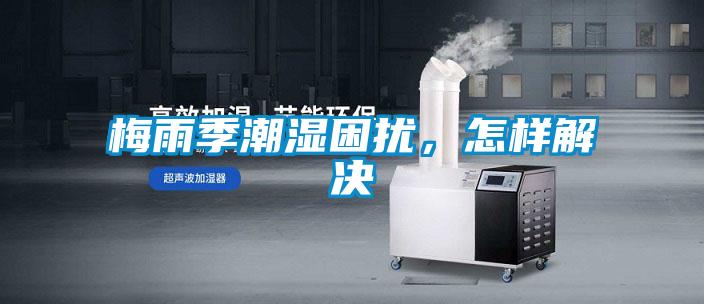 梅雨季潮濕困擾，怎樣解決