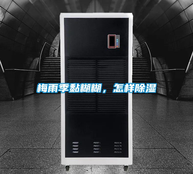 梅雨季黏糊糊，怎樣除濕