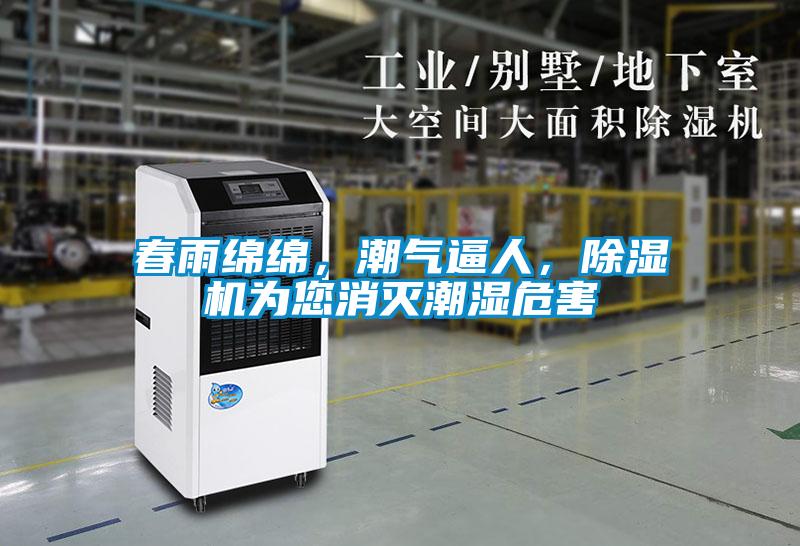 春雨綿綿，潮氣逼人，除濕機(jī)為您消滅潮濕危害