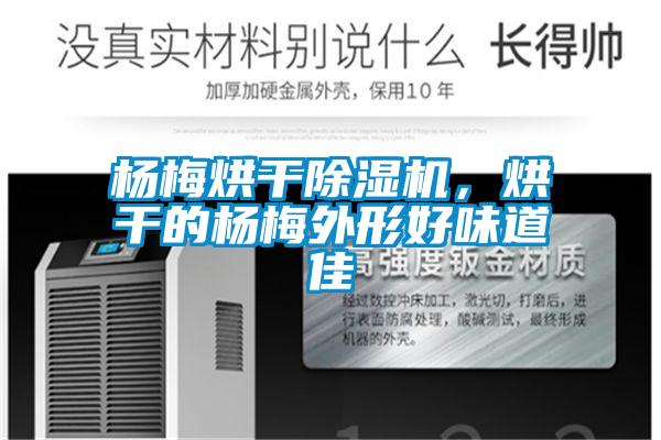 楊梅烘干除濕機，烘干的楊梅外形好味道佳