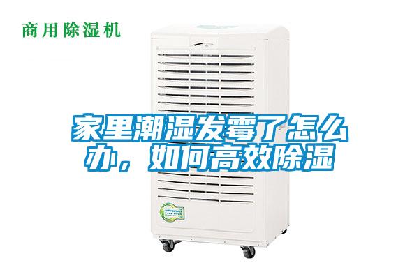 家里潮濕發(fā)霉了怎么辦，如何高效除濕