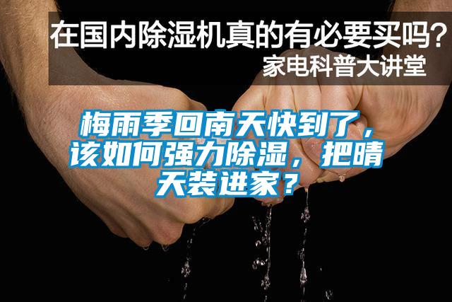 梅雨季回南天快到了，該如何強(qiáng)力除濕，把晴天裝進(jìn)家？