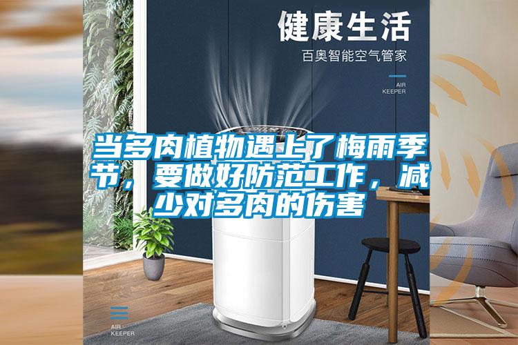 當(dāng)多肉植物遇上了梅雨季節(jié)，要做好防范工作，減少對(duì)多肉的傷害