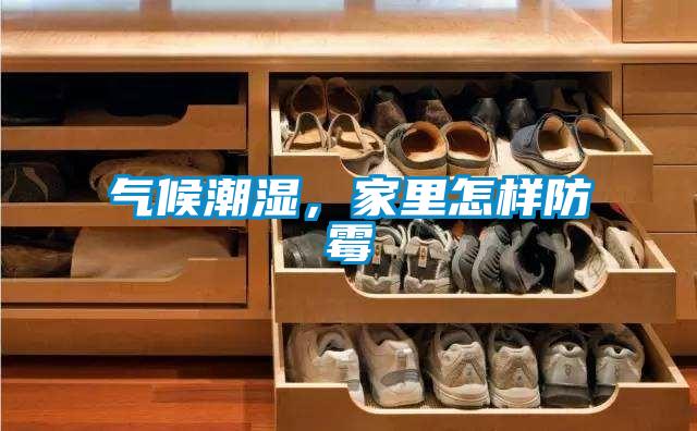 氣候潮濕，家里怎樣防霉