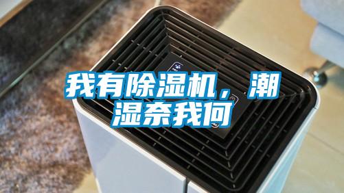我有除濕機，潮濕奈我何