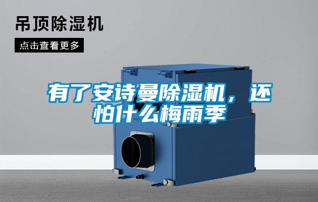 有了安詩(shī)曼除濕機(jī)，還怕什么梅雨季