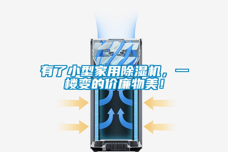 有了小型家用除濕機(jī)，一樓變的價(jià)廉物美！