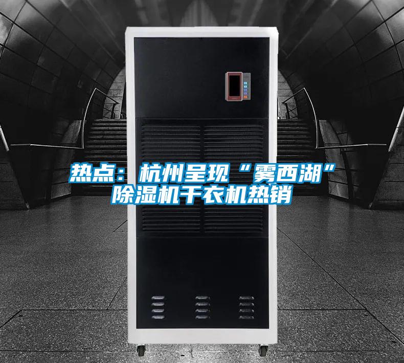 熱點:杭州呈現(xiàn)“霧西湖”除濕機干衣機熱銷
