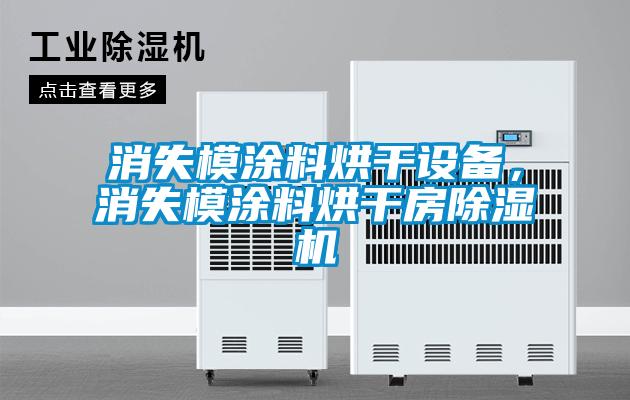 消失模涂料烘干設(shè)備，消失模涂料烘干房除濕機