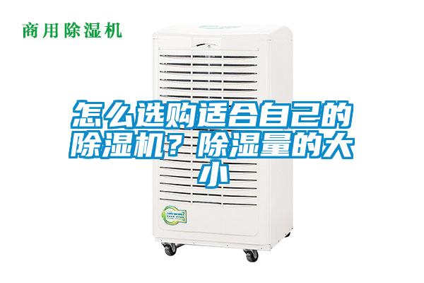 怎么選購適合自己的除濕機(jī)？除濕量的大小