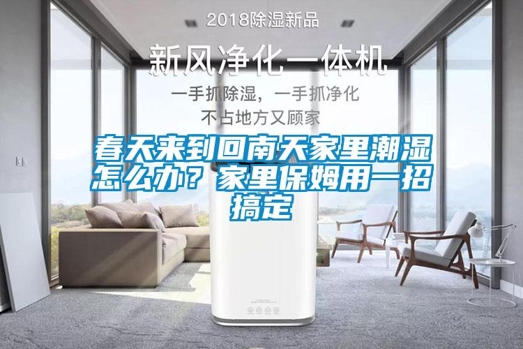 春天來(lái)到回南天家里潮濕怎么辦？家里保姆用一招搞定