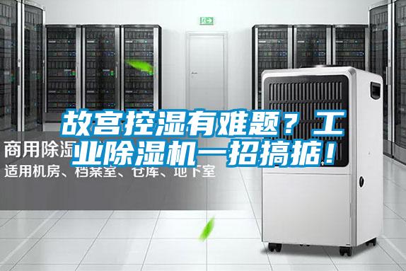 故宮控濕有難題？工業(yè)除濕機一招搞掂！