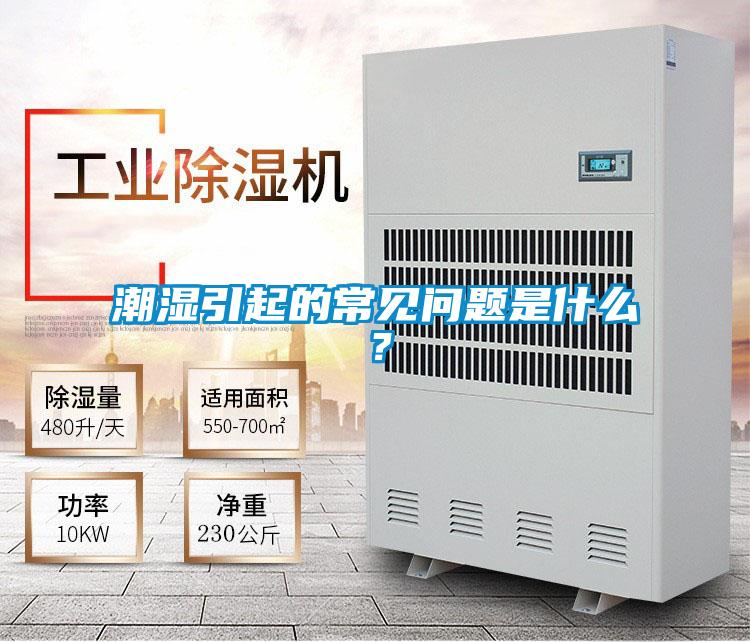 潮濕引起的常見問題是什么？