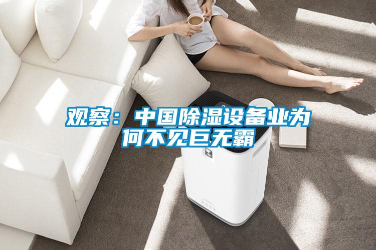 觀察：中國除濕設備業(yè)為何不見巨無霸