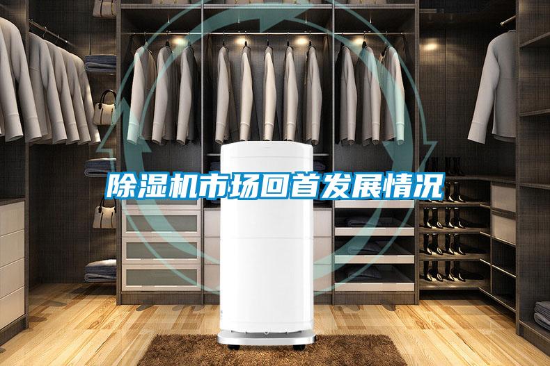 除濕機市場回首發(fā)展情況
