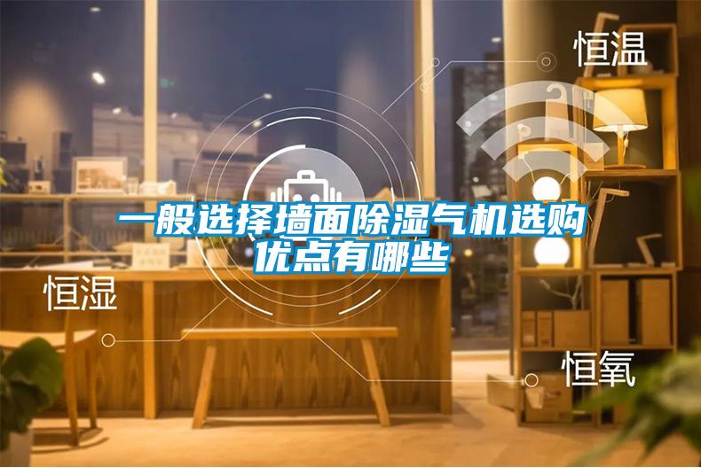 一般選擇墻面除濕氣機選購優(yōu)點有哪些