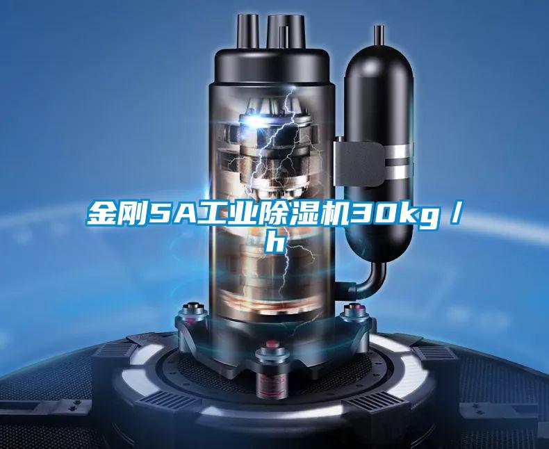 金剛5A工業(yè)除濕機(jī)30kg/h