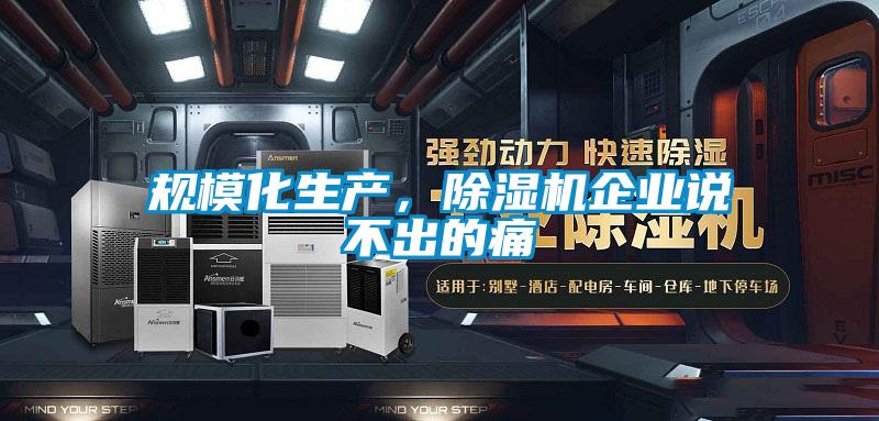 規(guī)?；a(chǎn)，除濕機企業(yè)說不出的痛