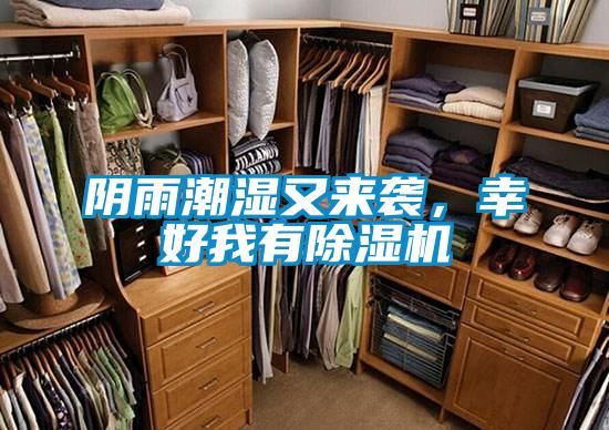 陰雨潮濕又來(lái)襲，幸好我有除濕機(jī)