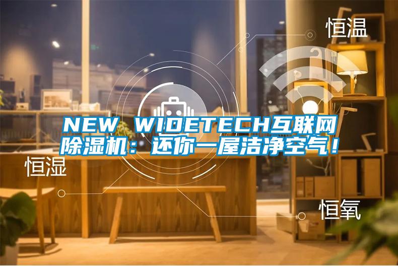 NEW WIDETECH互聯(lián)網(wǎng)除濕機(jī)：還你一屋潔凈空氣！