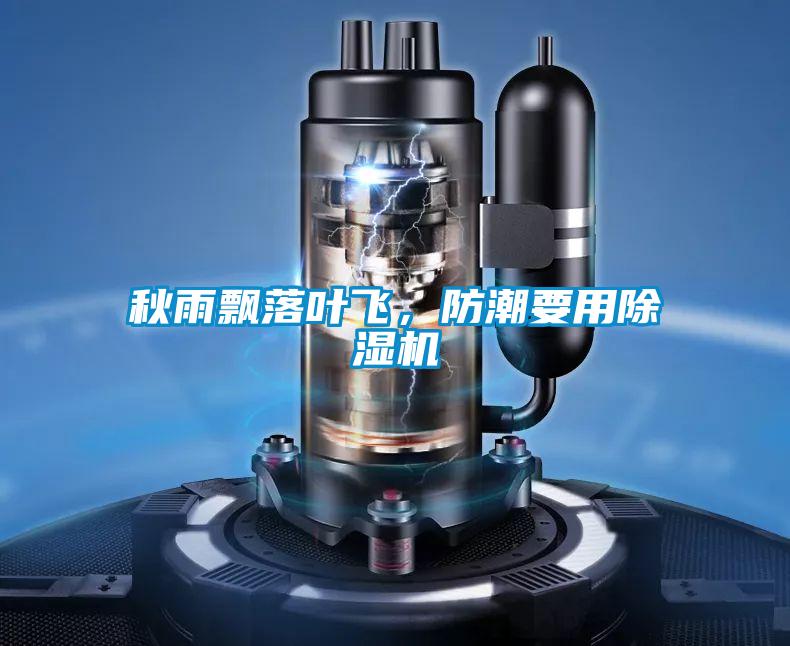 秋雨飄落葉飛，防潮要用除濕機(jī)