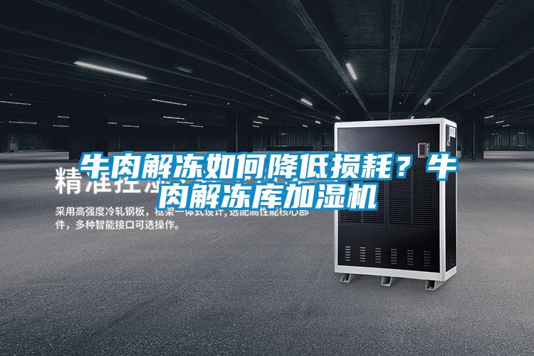 牛肉解凍如何降低損耗？牛肉解凍庫(kù)加濕機(jī)