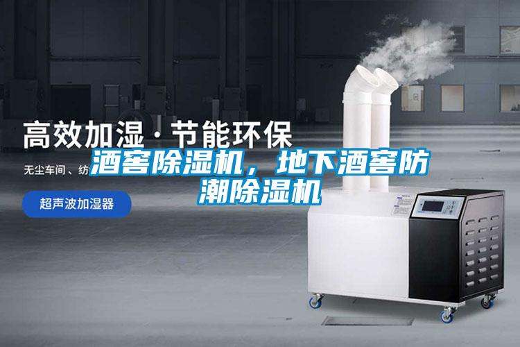 酒窖除濕機(jī),地下酒窖防潮除濕機(jī)