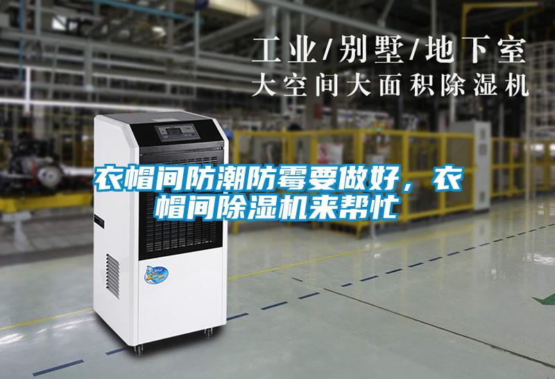 衣帽間防潮防霉要做好，衣帽間除濕機來幫忙