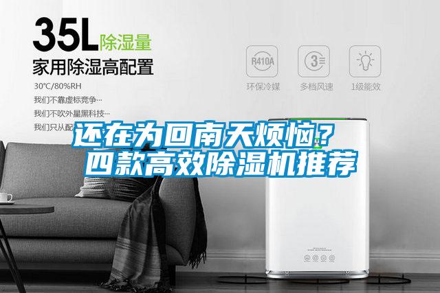 還在為回南天煩惱？ 四款高效除濕機推薦