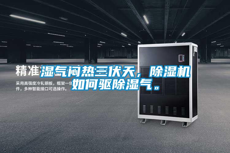 濕氣悶熱三伏天，除濕機如何驅(qū)除濕氣。