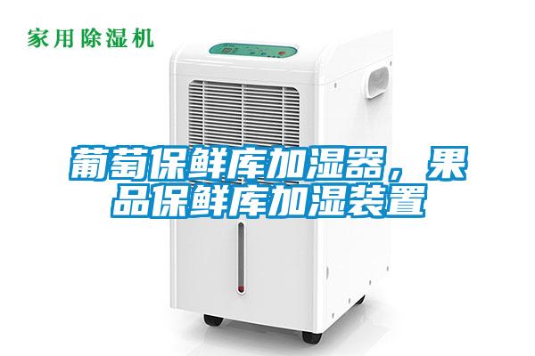 葡萄保鮮庫加濕器，果品保鮮庫加濕裝置