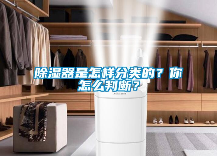 除濕器是怎樣分類的？你怎么判斷？