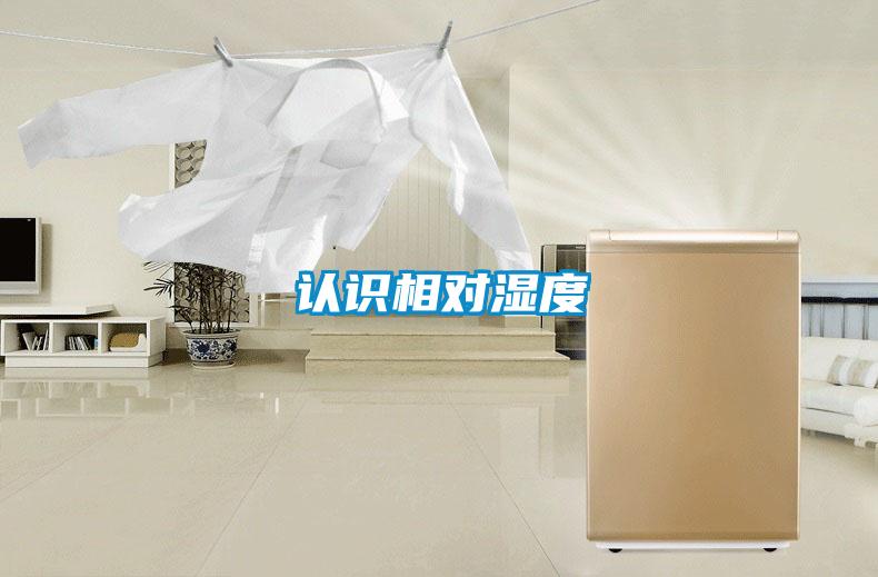 認(rèn)識相對濕度