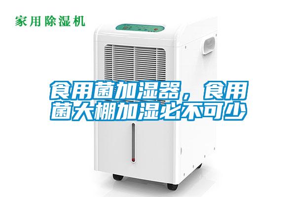 食用菌加濕器，食用菌大棚加濕必不可少