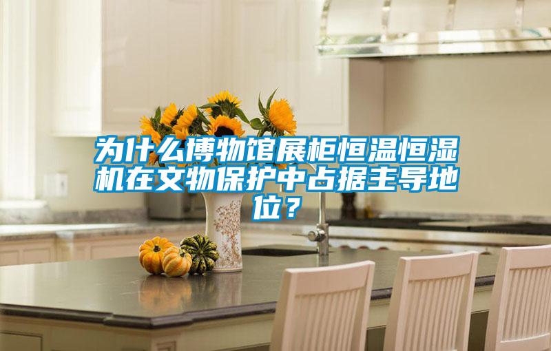 為什么博物館展柜恒溫恒濕機(jī)在文物保護(hù)中占據(jù)主導(dǎo)地位？