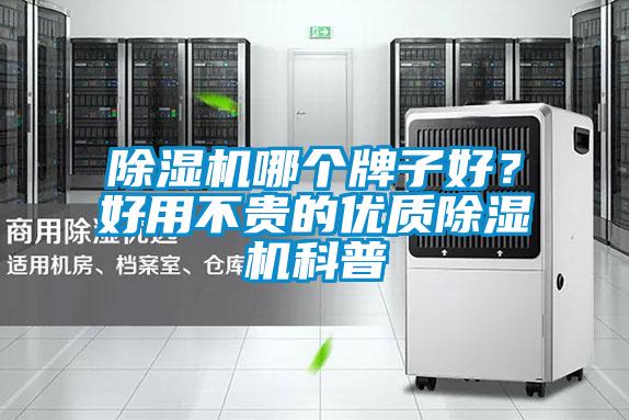 除濕機(jī)哪個(gè)牌子好?好用不貴的優(yōu)質(zhì)除濕機(jī)科普