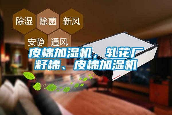 皮棉加濕機(jī)，軋花廠籽棉、皮棉加濕機(jī)