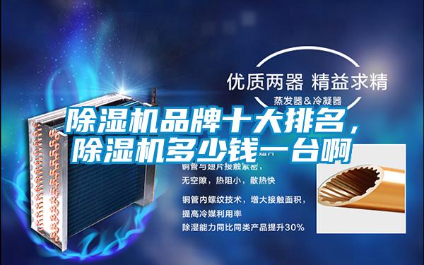 除濕機(jī)品牌十大排名，除濕機(jī)多少錢(qián)一臺(tái)啊
