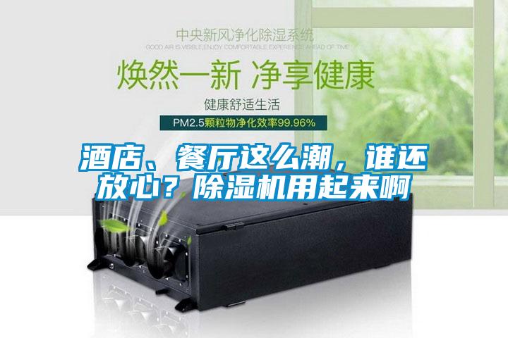 酒店、餐廳這么潮，誰還放心？除濕機用起來啊