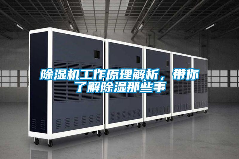 除濕機工作原理解析，帶你了解除濕那些事