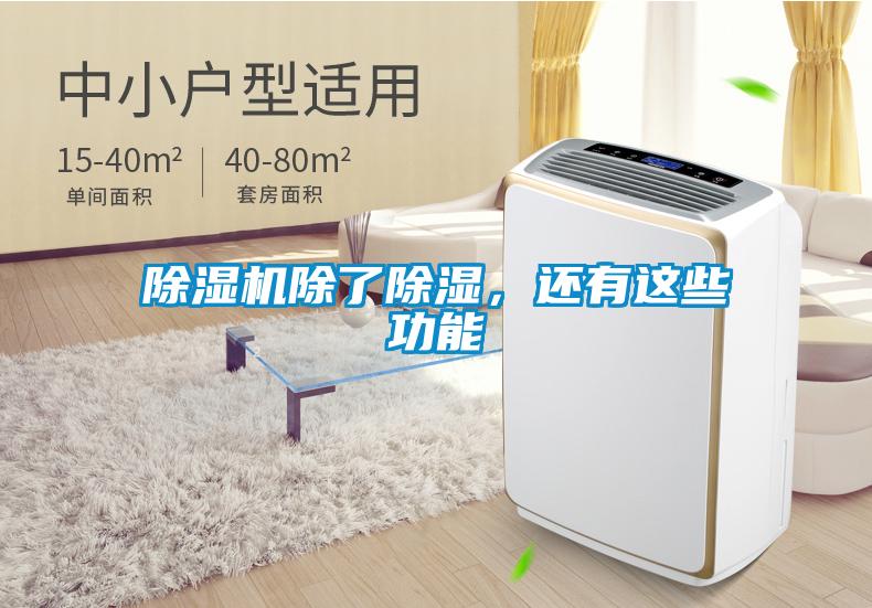 除濕機(jī)除了除濕，還有這些功能