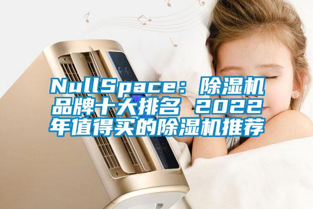 NullSpace:除濕機(jī)品牌十大排名 2022年值得買的除濕機(jī)推薦