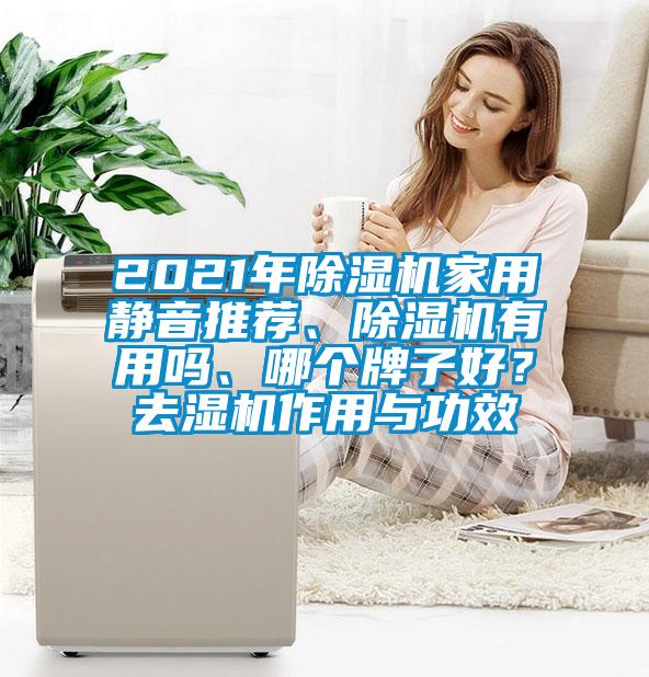 2021年除濕機家用靜音推薦、除濕機有用嗎、哪個牌子好？去濕機作用與功效